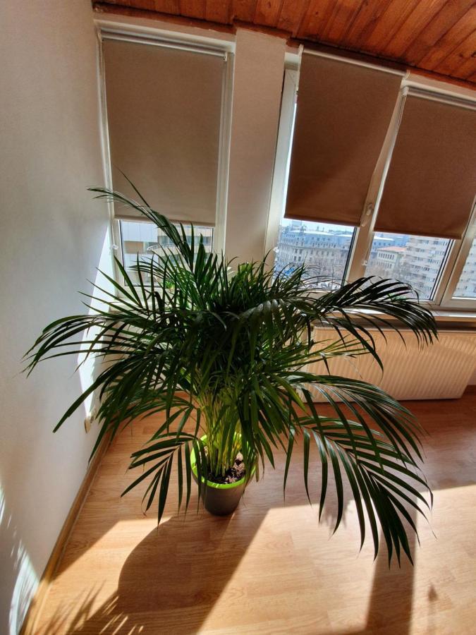 Ultracentral Apartments Bucureşti Eksteriør bilde